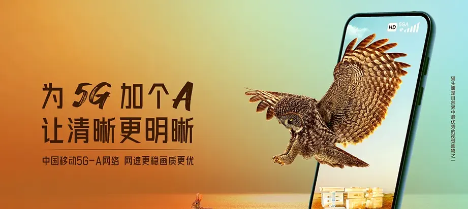 澧县澧县金罗镇 移动宽带
